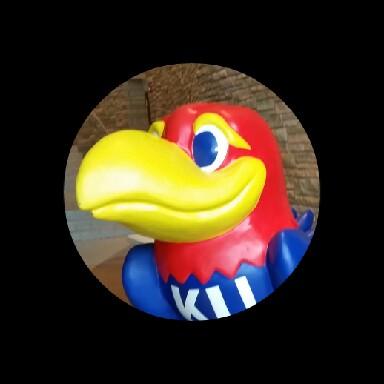 Kansas Jayhawks grad and fan. I am an Advisory Consultant in Professional Services for Archer and a database developer.