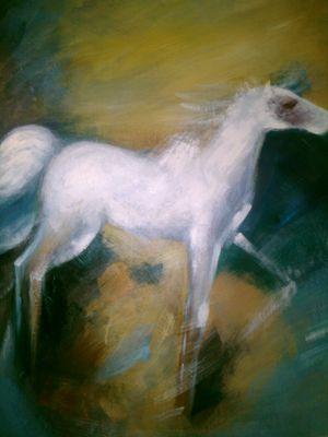 arthurqro's profile picture. 