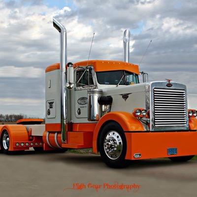 Hexbug97's profile picture. 