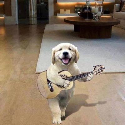 majubuitrago1's profile picture. 