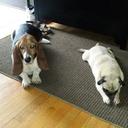 Len Bates - @booya1992 - Twitter