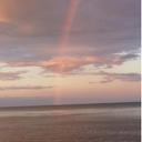 Julia Walton - @MsWaltonTeaches - Twitter