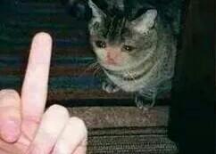 ❁