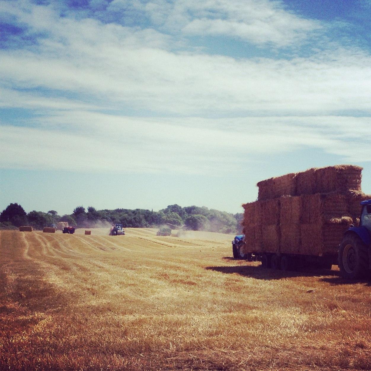 Whyte bros farms Naul Dublin Ireland