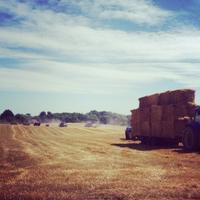 Joseph whyte (@jwhyte46) 's Twitter Profile