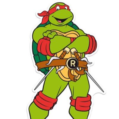 We're not Kung fu Frogs, we're Ninja Turtles!
