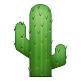 trillcactus's profile picture. Get real.