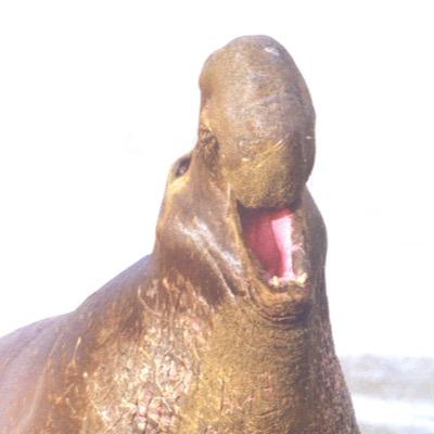 itsthatdeep's profile picture. 25, sometimes lost, sometimes confused, always dramatic, one day I'll be cool