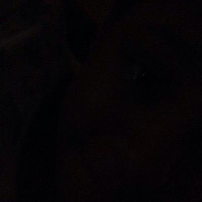 shealwayzsmilin's profile picture. 