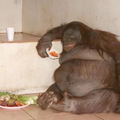 Clearout4Oreos's profile picture. 