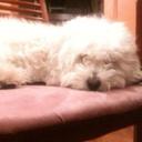 Doris Lai - @DorisLai123 - Twitter