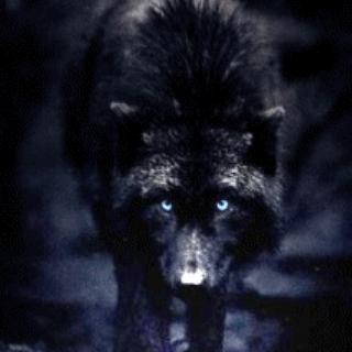 follow me on instagram @zaywolf I will follow back!