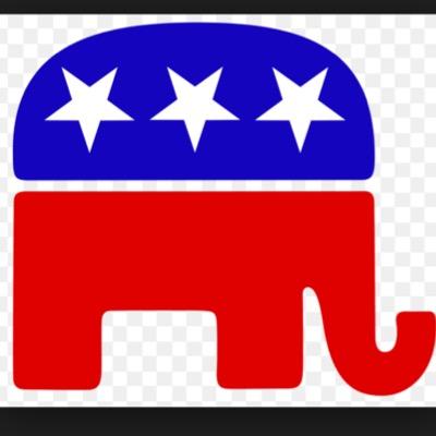 TheRepublicanzz's profile picture. 