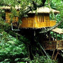 reachdreamhome's profile picture. 