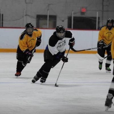 RainyPie49's profile picture. Hockey, family and friends ❤ My real life sister is @sillygoosekalei