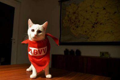 sjamfoeter's profile picture. deugeniet