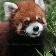 uki_mamaolana's profile picture. 