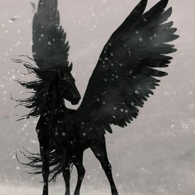 darkpegasus2099's profile picture. 