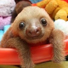 Raymond_King_13's profile picture. 