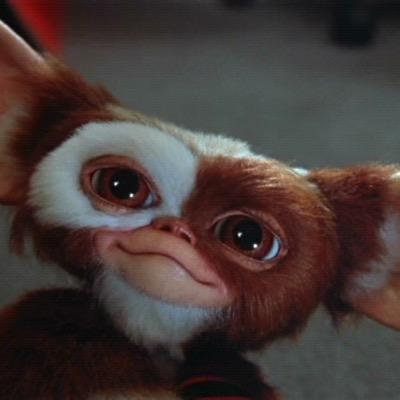 InMikio's profile picture. Fuck Forever たまにradicalな発言もするけど、    TV番組の、　家、ついて行ってイイですか?   めっちゃ好き