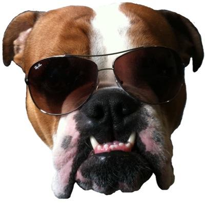 LuckyDogLLC's profile picture. Premium men's thrift shop. BUY-SELL-TRADE  8201 Greenwood Ave N.   #gohawks