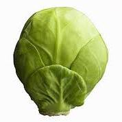 Is the sprout back? 
#shoutsprout Follow me