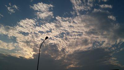 batchsize's profile picture. 