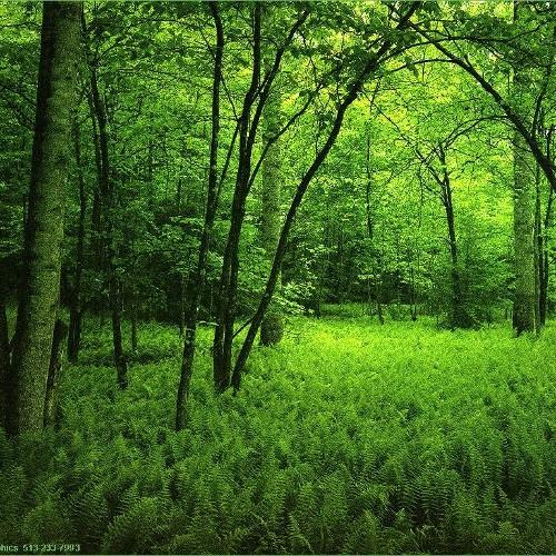 TESSIEREmmanue1's profile picture. 