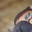 satishvkr's profile image