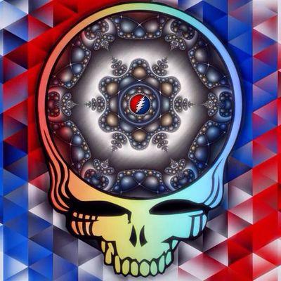 DeadHead, Grateful Dead /Dead and Company /RatDog/Phil and Friends,Billy and The Kids