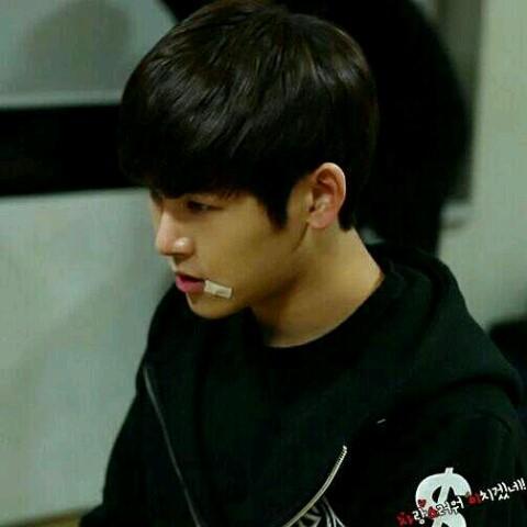 @hoya1991_bot
