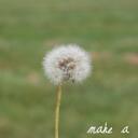 Katie Shields - @itskatieex3 - Twitter