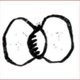 LhBuurtmarkt's profile image