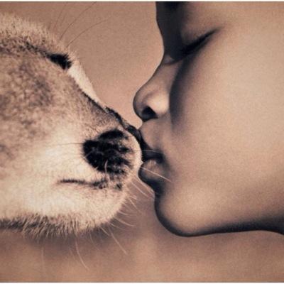 Tatynni's profile picture. IP rights/ AI / technology / legal tech