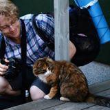 brosserM's profile picture. 