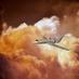 Seefin Aviation (@seefinaviation) Twitter profile photo Seefin Aviation (@seefinaviation) Twitter profile photo