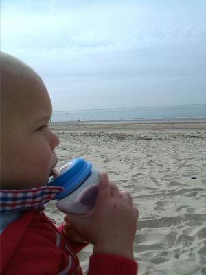 SanderJaap's profile picture. 