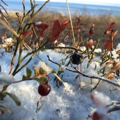 Anne45327's profile picture. 