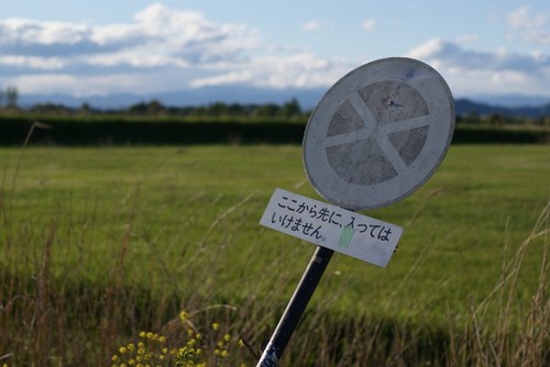 s_yotsui's profile picture. 神奈川県