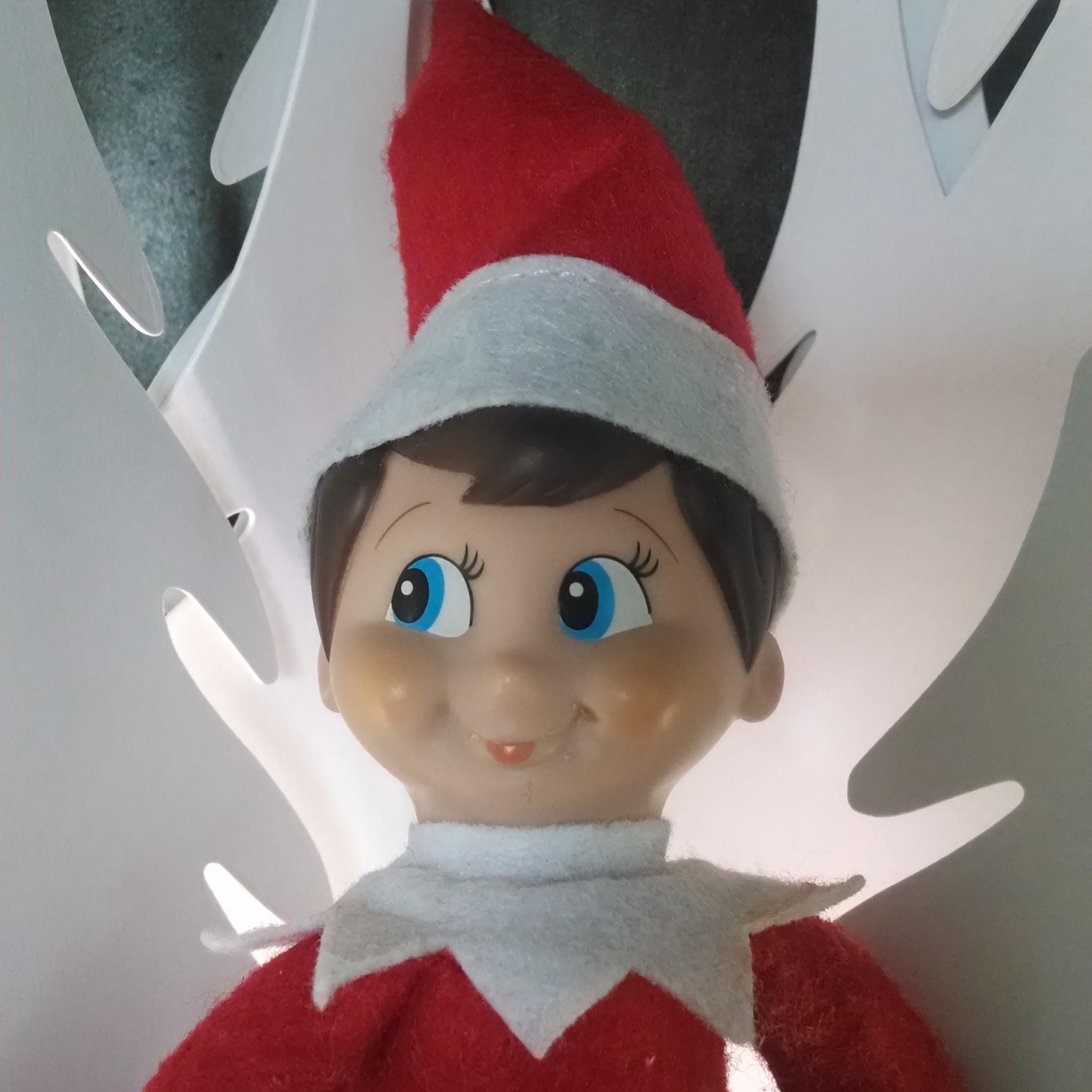 One elf's journey from figgy pudding to tinsel tough!
