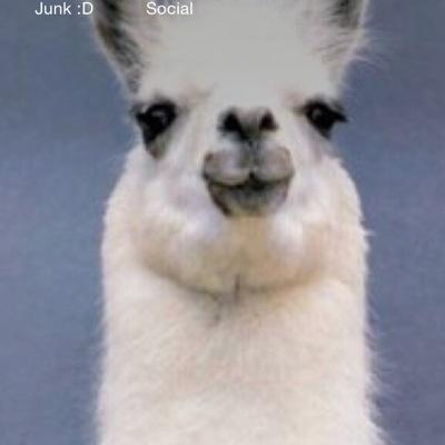 NathanCouch69's profile picture. 