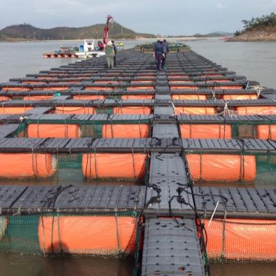 eVpRXwmSIajcROx's profile picture. 