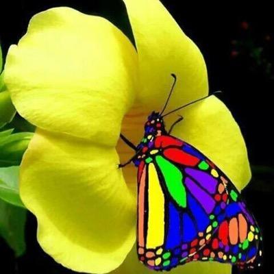 ومن يتق الله يجعل له مخرجاً ويرزقه من حيث لايحتسب ومن يتوكل على الله فهو حسبه