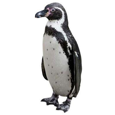 We specialise in the recruitment of Planners across the UK for specialist & multi-disciplinary consultancies. Contact:danielle.stallard@penguinrecruitment.co.uk