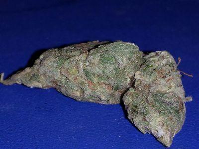 lllllllllljkkj's profile picture. I'm Zach, I be blowin KK(jk)