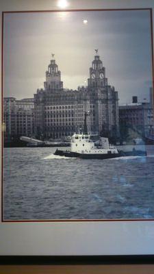 dmclean12345's profile picture. windswept and interesting,passion for gardening