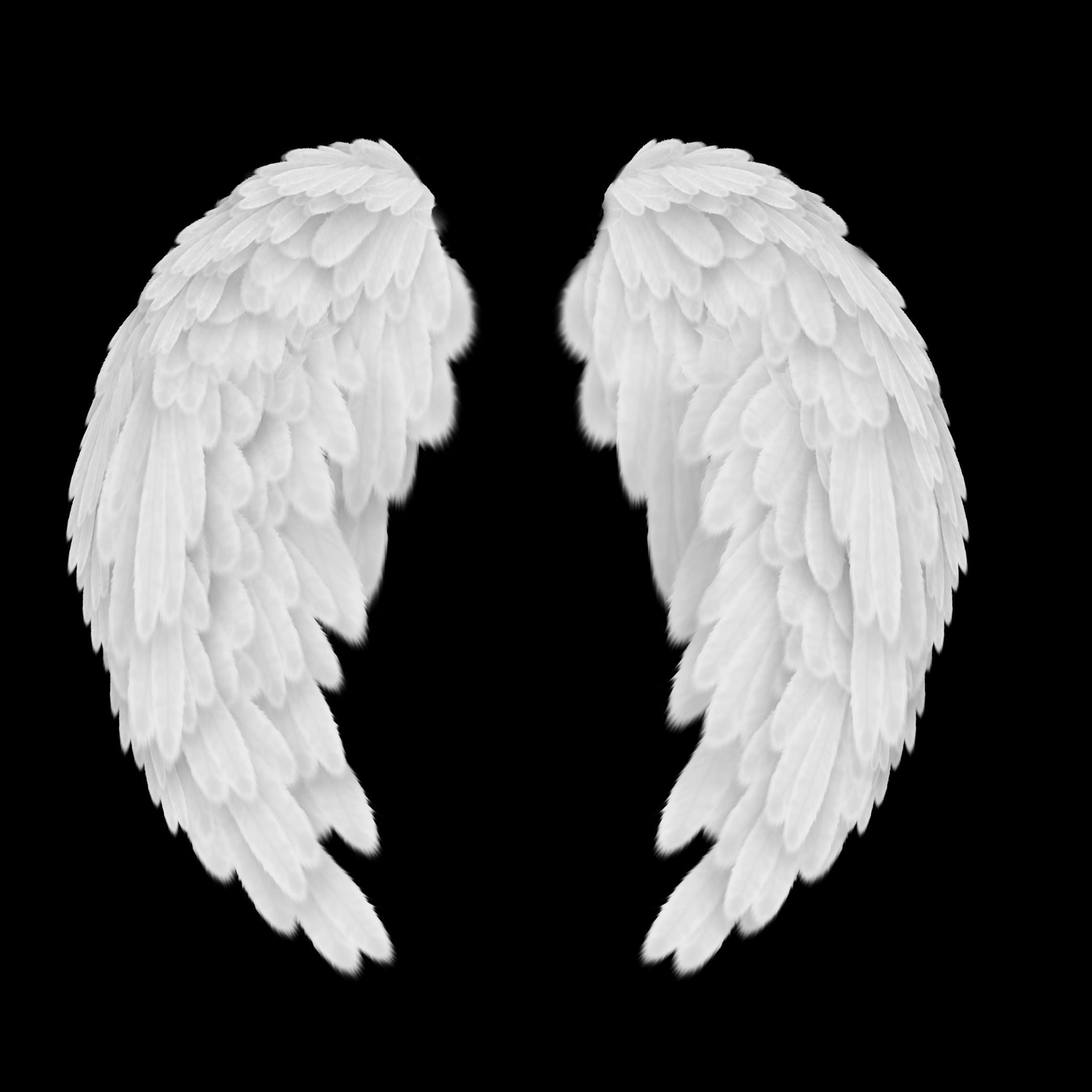 angelwings1911's profile picture. 