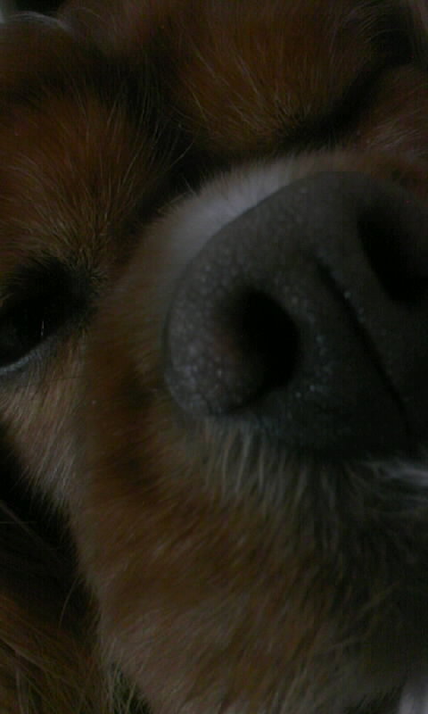 kenryuutei's profile picture. The world is being connected in follow.└(ΘoΘ