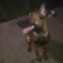 Kenneth Rex Pama - @KennrexPama - Twitter