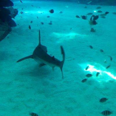 yoc2010's profile picture. 